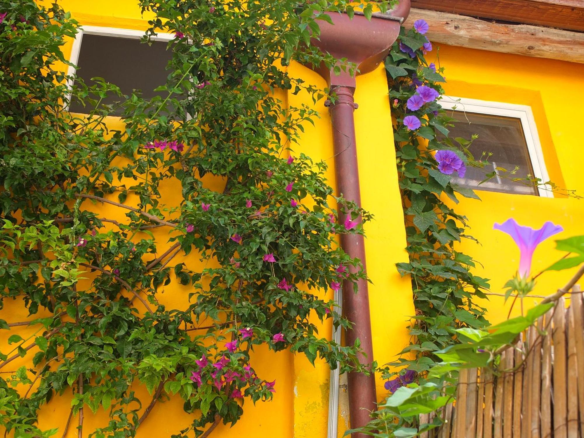 La Maison Jaune Sète Camera foto